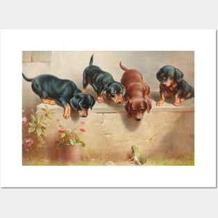 Curious Dachshund Puppies and a Frog by Carl Reichert Posters and Art